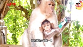 Terrified Monkey