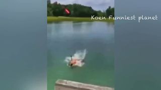 Funniest Dogs And Cats Videos Best Funny Animals Videos 2023