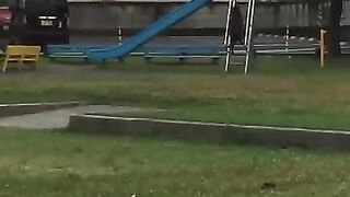 Dogs sliding down a slide