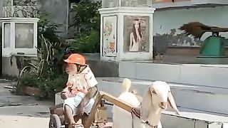 Bandar ki swari