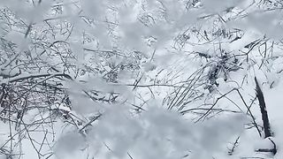 ДА ОЦЕЛЕЕШ ПРЕЗ ЗИМАТА