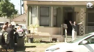 Rottweiler vs Pitbull Terrier - Pitbull vs Rottweiler Real Fight