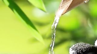 Water Relaxation