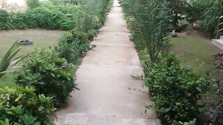 Beautiful Garden