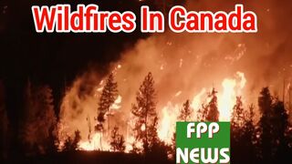 Canada wildfires: state of emergency declared
