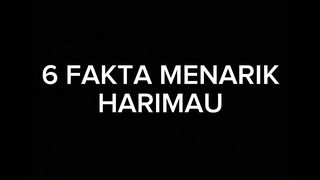 5 fakta menarik harimau