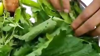 किचन वेस्ट से बनाए जैविक एंजाइम जो पौधों को फूल