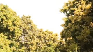Beautiful Mango Garden | Nature Relaxation | Deep Relaxation | shorts