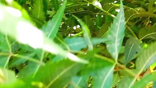 Nature Beautiful View | Relax Soul | Amazing Natural View | shorts