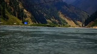 Nature Status Video Clip