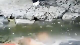 Приколи 348