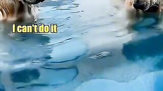 Приколи 353