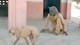 Приколи 355