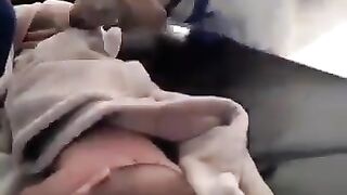 Dog taking care of baby