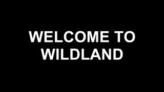 Boonie Bears: The Wild Life Trailer