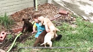 Hilarious Babies And Pets Moments - Funny Baby Videos | BABY BROS