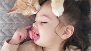 Loving cat ????