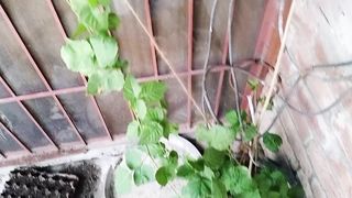 کیا اپ کے پودوں کی بھی گروتھ ایسی ہے