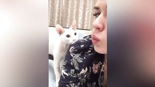 Best Funny Animals 2023 ????