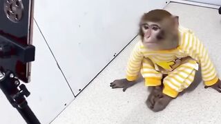 Bundar Nain To Kammal Kardeya????????????