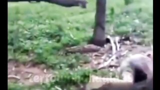 Awali minggumu dengan keajaiban dunia
