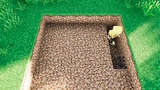Automatic Pool MINECRAFT