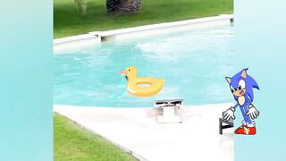 Try not to laugh funny video - summer vocation fails