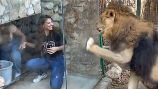 Incredibly hilarious animal moments #25