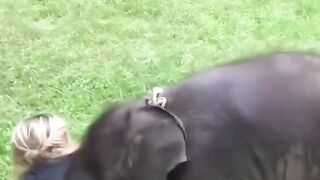 Funny video