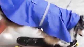 Funny video