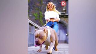 Animals Transformation - Cute Baby Animals Grow Up - Tiktok On Top