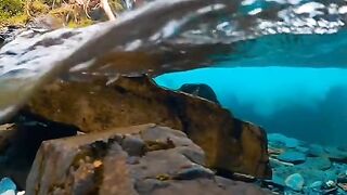 best video relaxing