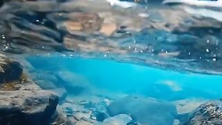 best video relaxing natur☺️