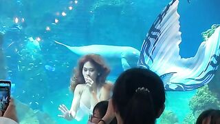 beautiful view 10