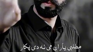 buner vines porety