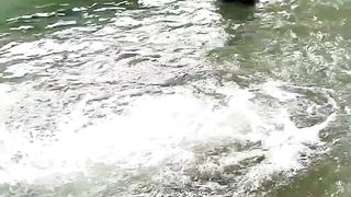 Swimming pool 6