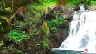 |_Nature_photography_trees,_Beautiful_locations_nature,_Nature_photography.