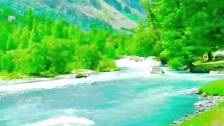 Nature_beauty_video,_2023_|_Doğa,_Selale,_Bahçe.