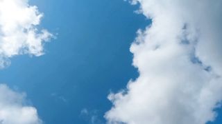 Sky Spear Tree