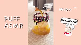 April Recipe Collection   The Cooking Cat   That little Puff (ASMR)