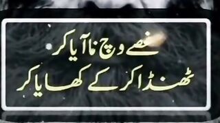 Punjabi poetry 11