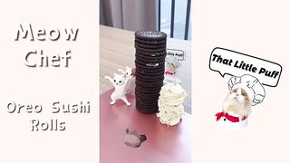 Oreo Collection   Puff ASMP