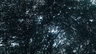 Predators (2010) - Movie Trailer