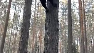 Such Talent and Power