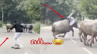 Funny [ ចេះខ្លាចដុំឥដ្ឋតើ..????