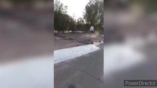 funny video 294