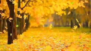 LEAVES LIFE