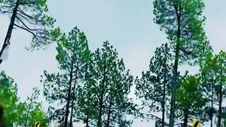 Murree Expressway Part 03 Murree Pakistan