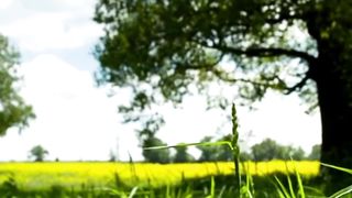 Beautiful nature 84