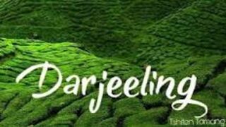 # Rock Garden # Darjeeling # India